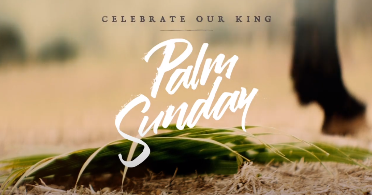 Palm Sunday | Sermons | Timberline Church